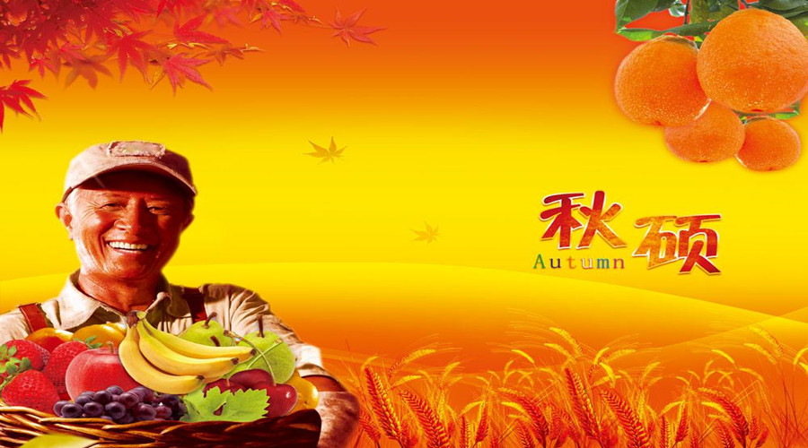 bevictor伟德官方app下载