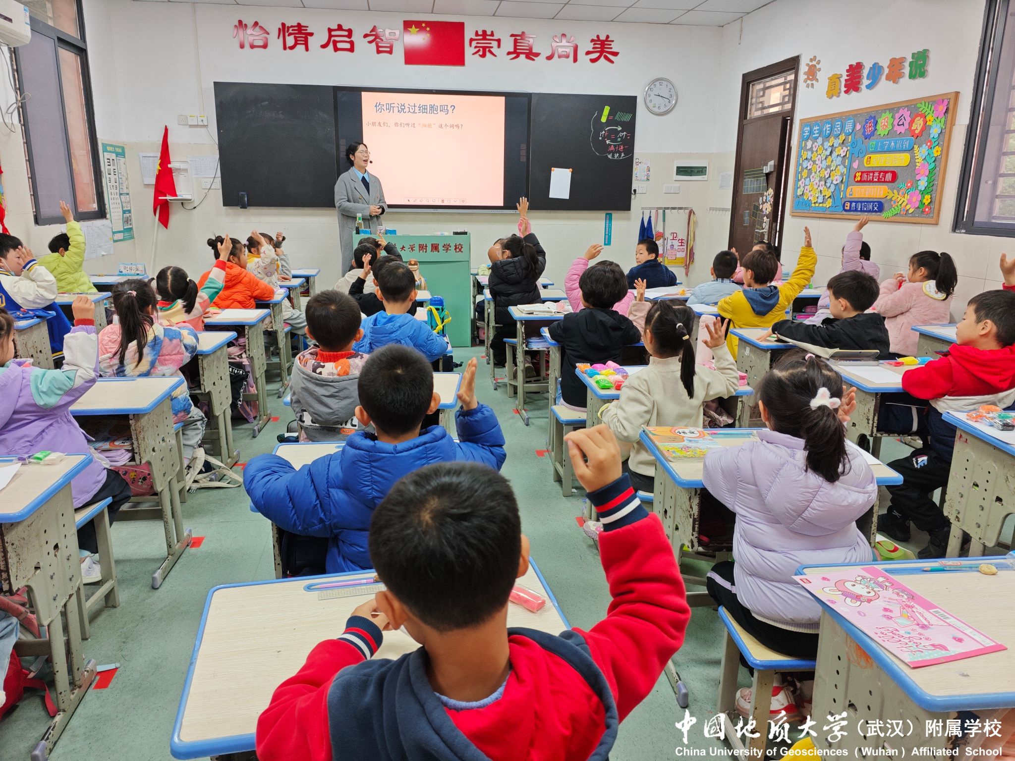 bevictor伟德官方app下载