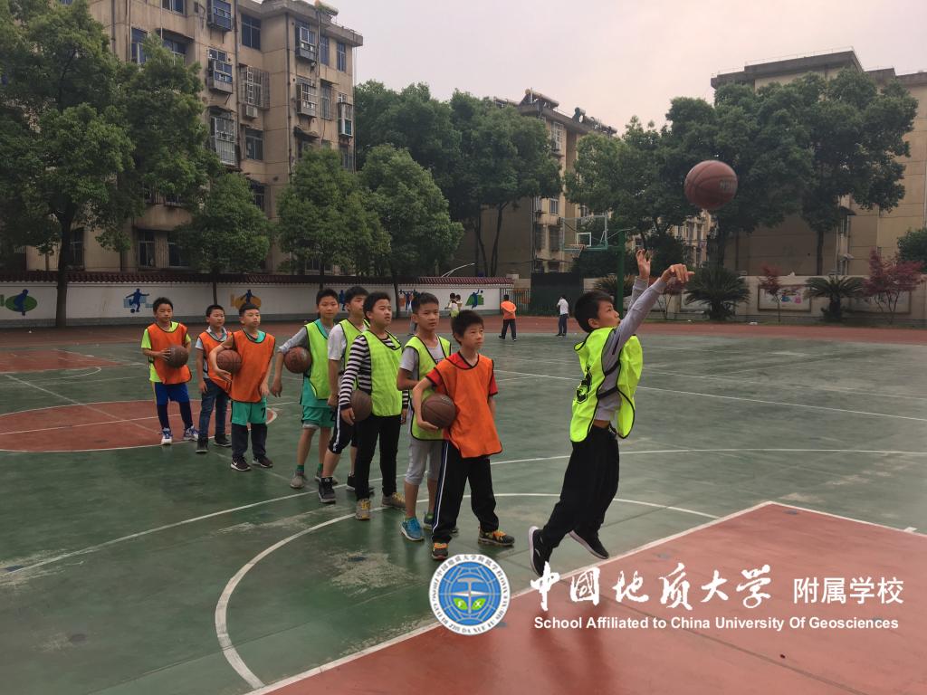 bevictor伟德官方app下载