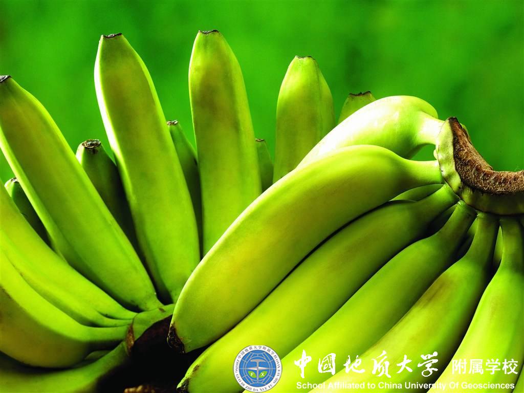 bevictor伟德官方app下载