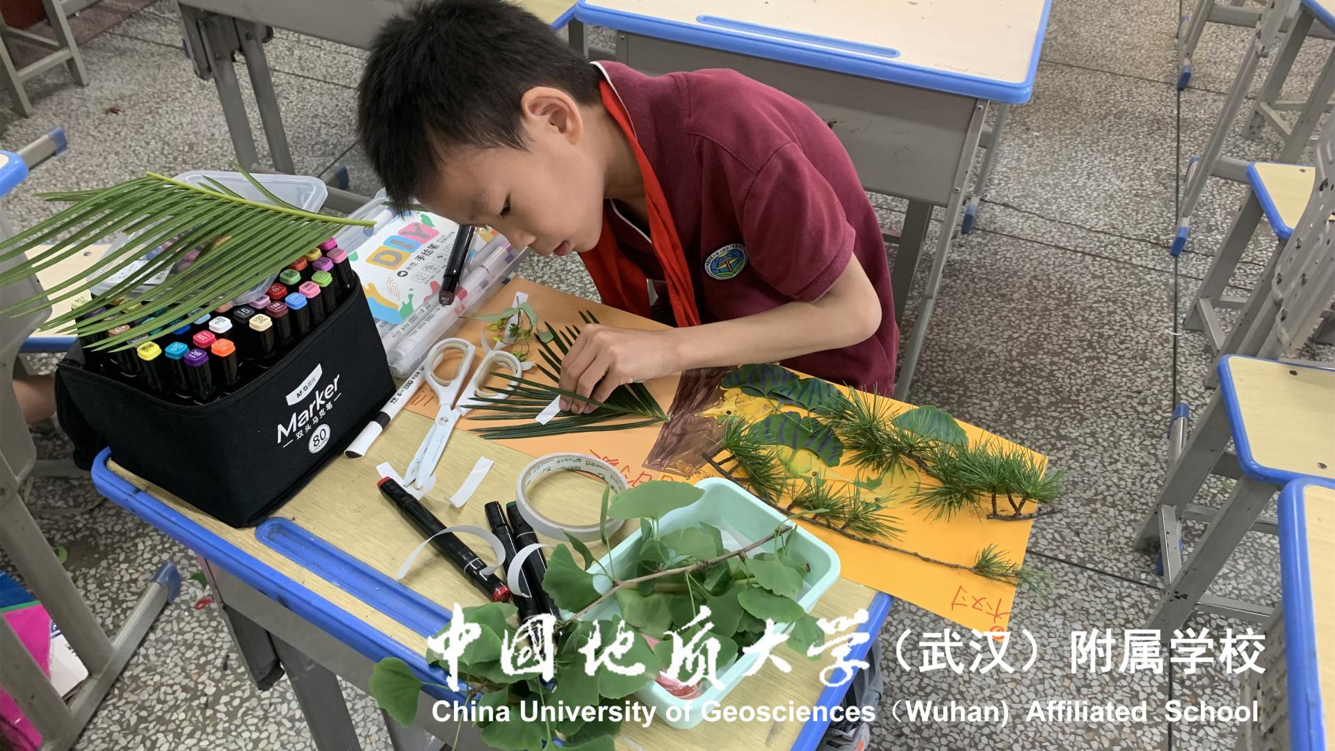 bevictor伟德官方app下载