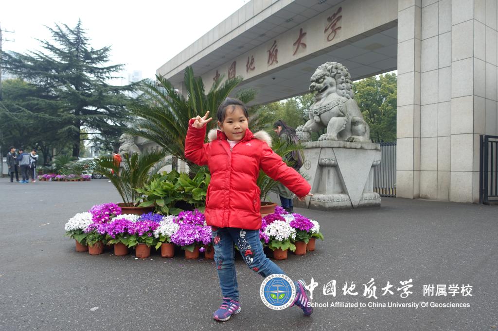bevictor伟德官方app下载
