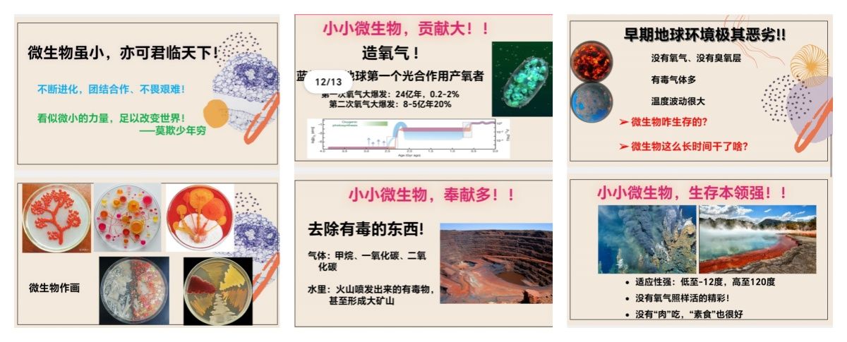 bevictor伟德官方app下载