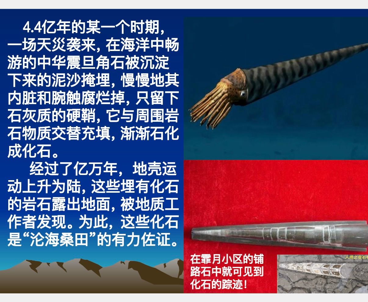 bevictor伟德官方app下载