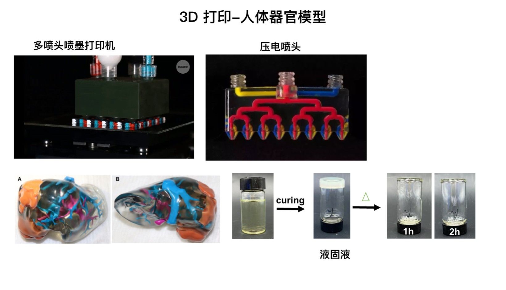 bevictor伟德官方app下载