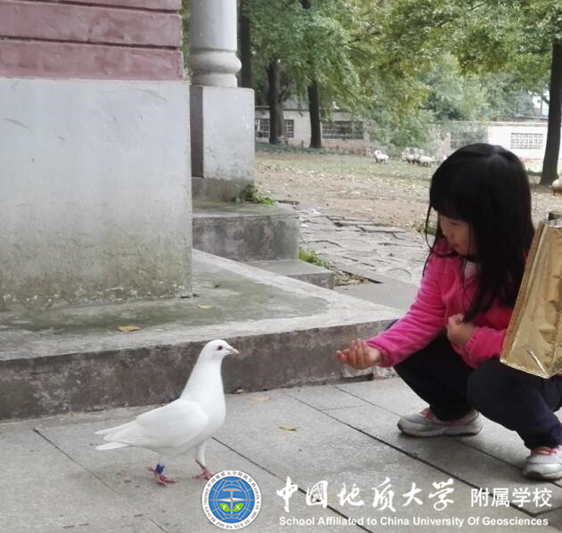 bevictor伟德官方app下载