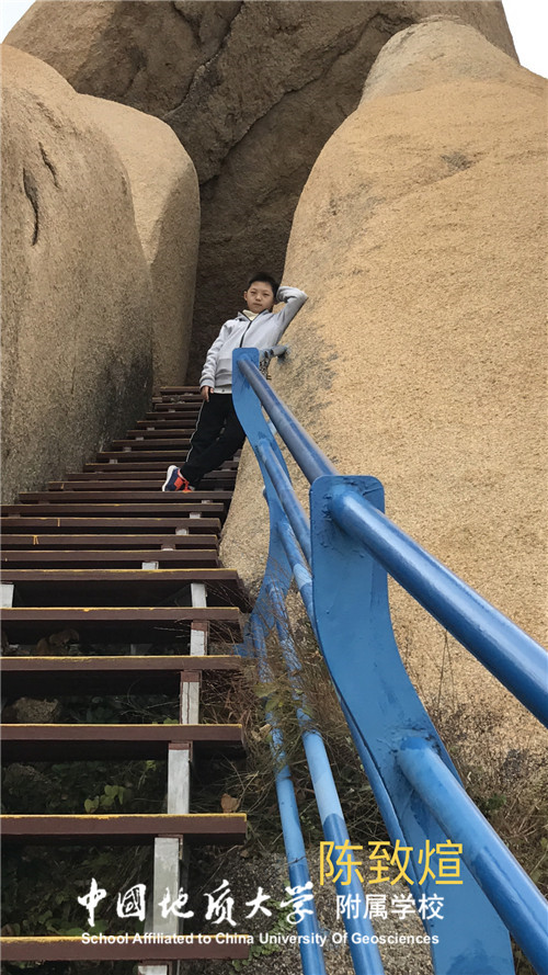 bevictor伟德官方app下载