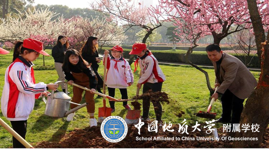 bevictor伟德官方app下载