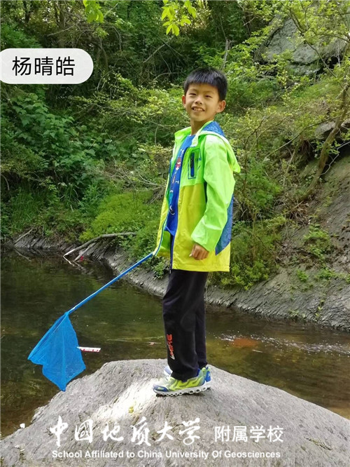 bevictor伟德官方app下载