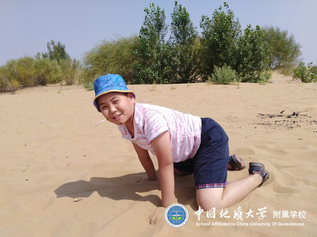 bevictor伟德官方app下载