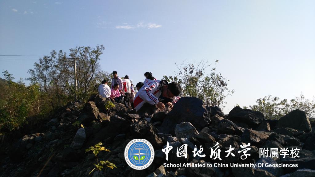 bevictor伟德官方app下载