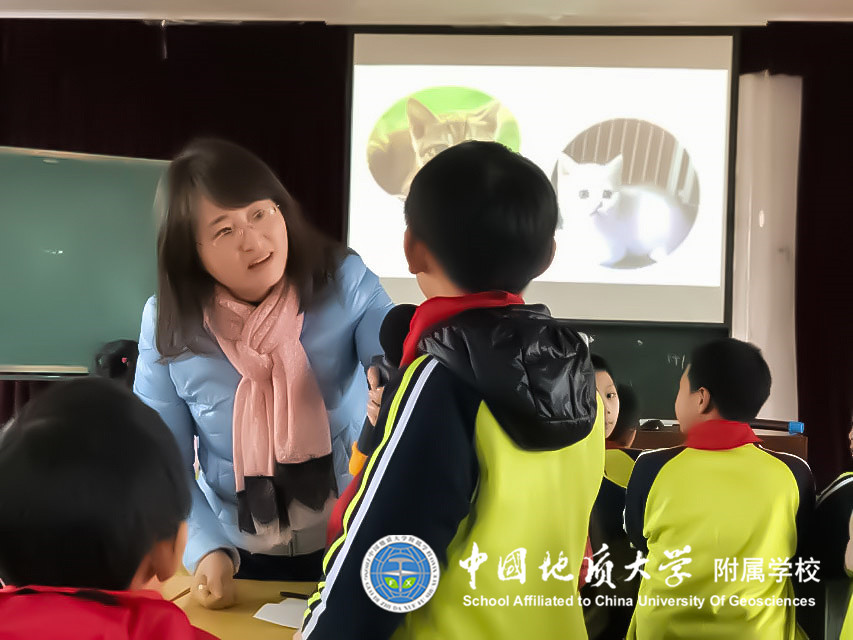bevictor伟德官方app下载
