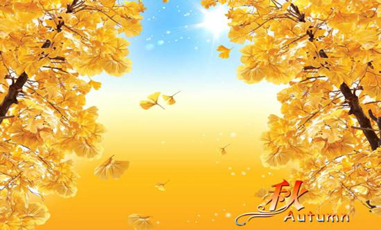 bevictor伟德官方app下载