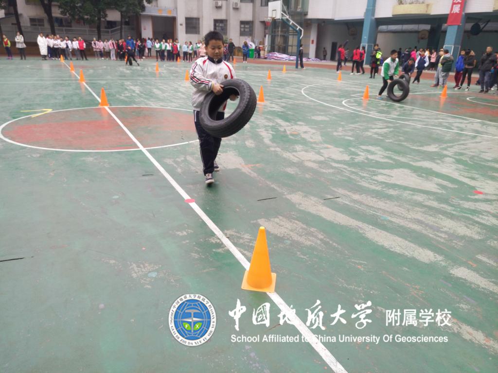 bevictor伟德官方app下载