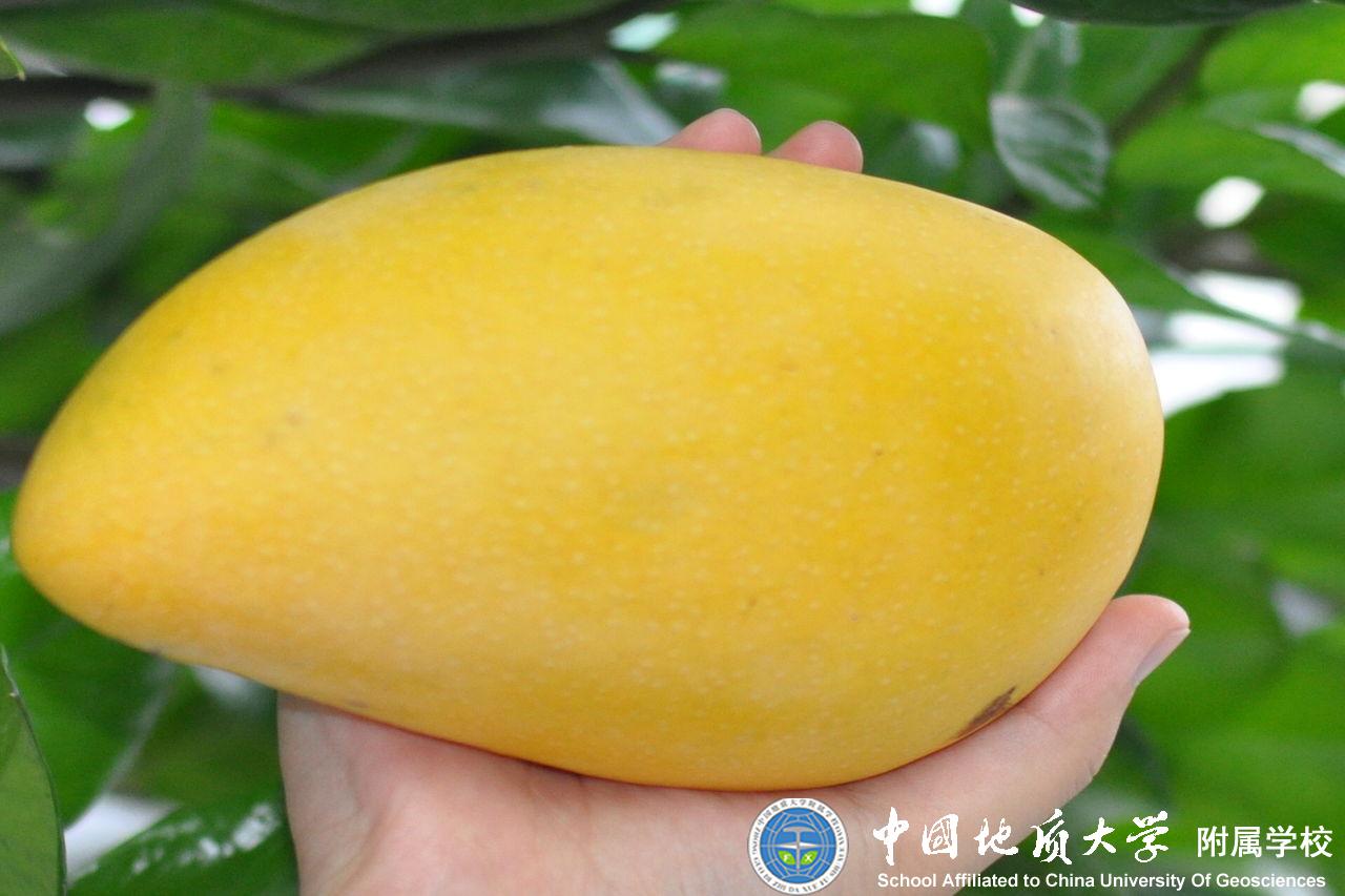 bevictor伟德官方app下载