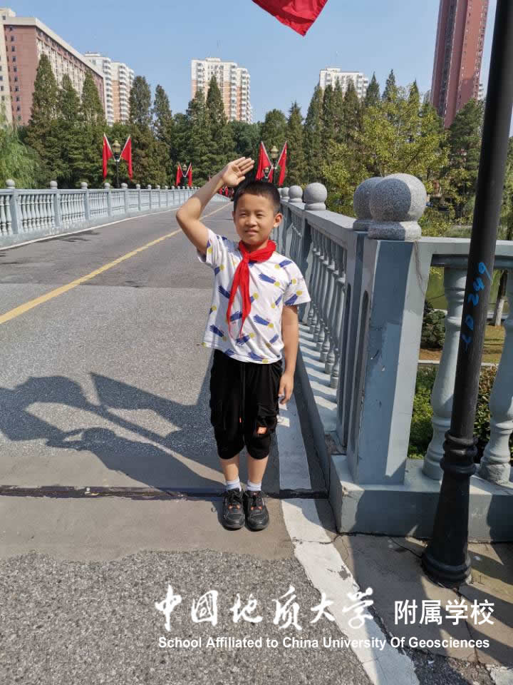 bevictor伟德官方app下载