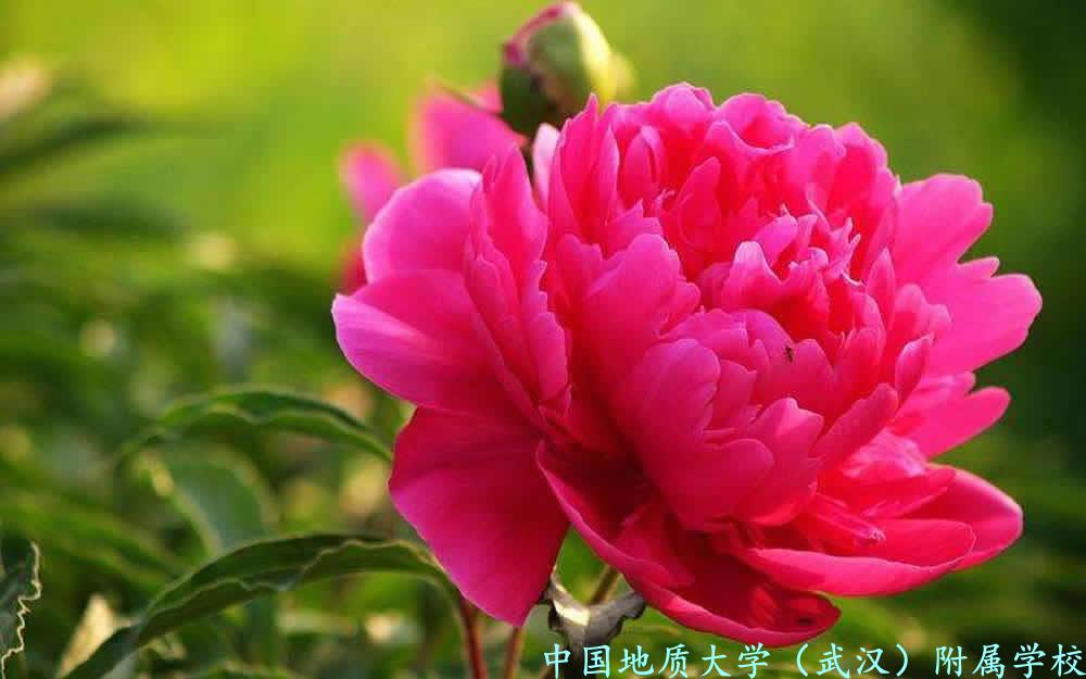 bevictor伟德官方app下载
