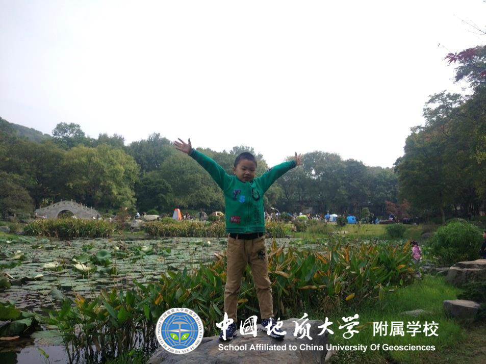 bevictor伟德官方app下载