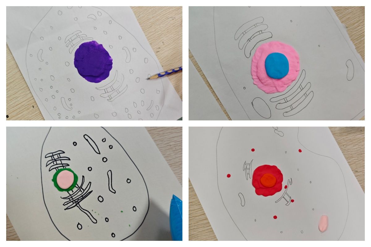 bevictor伟德官方app下载