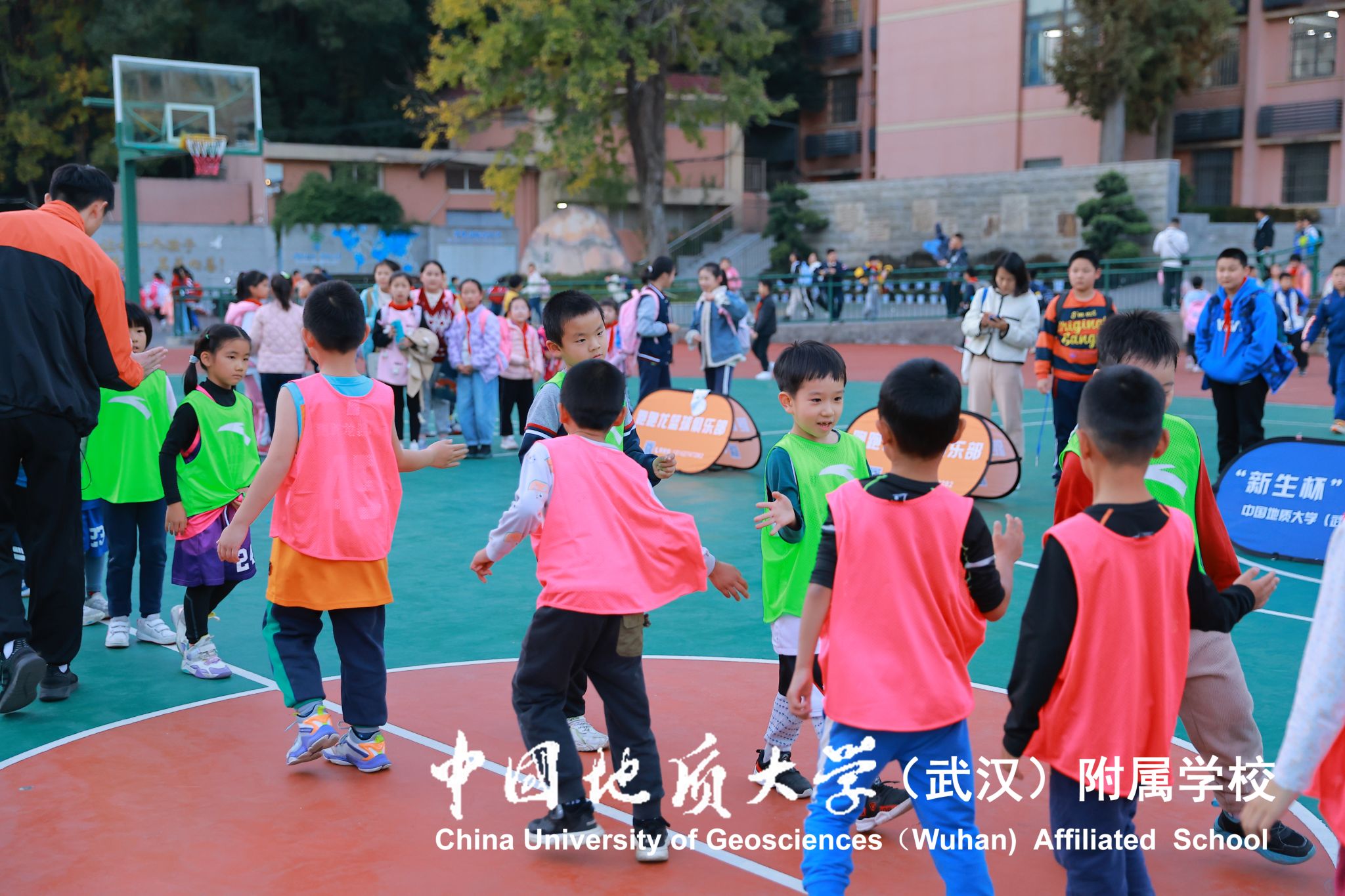 bevictor伟德官方app下载