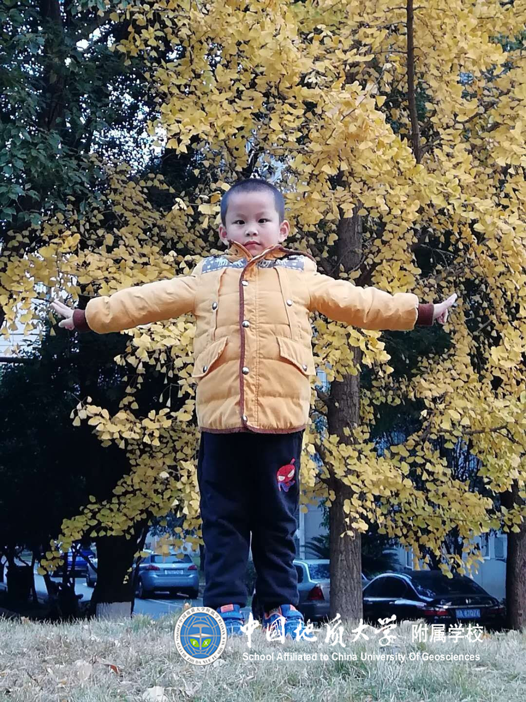 bevictor伟德官方app下载