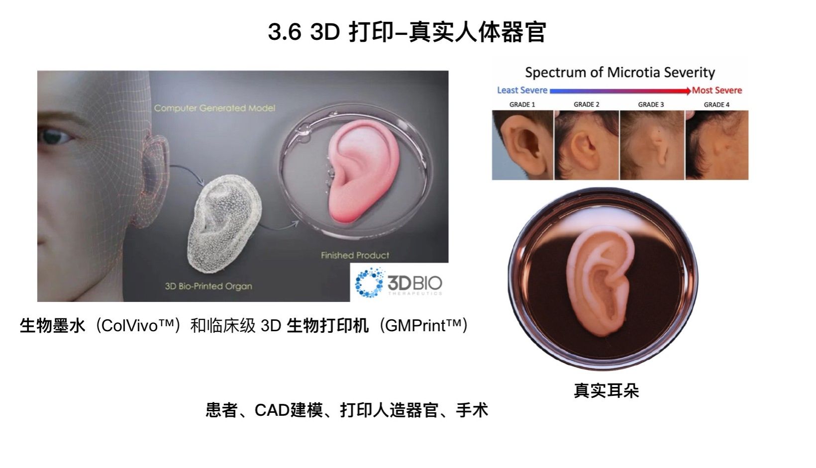 bevictor伟德官方app下载