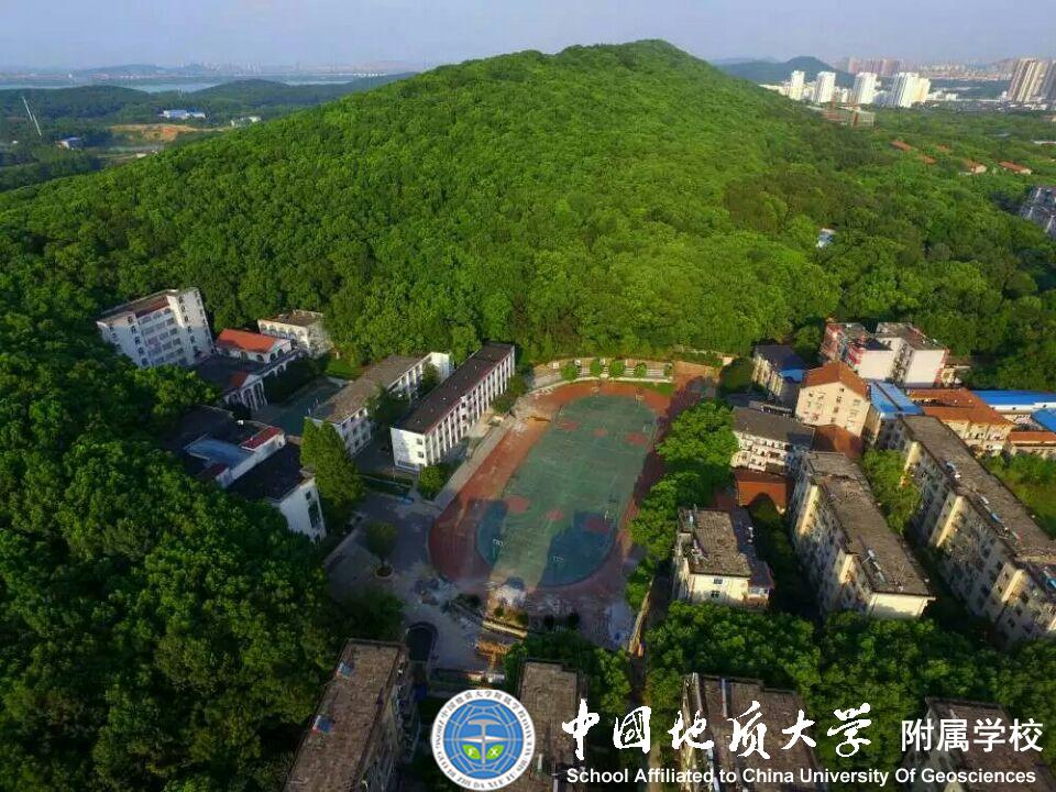 bevictor伟德官方app下载